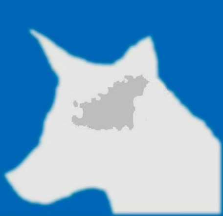 Guernsey weatherfox logo